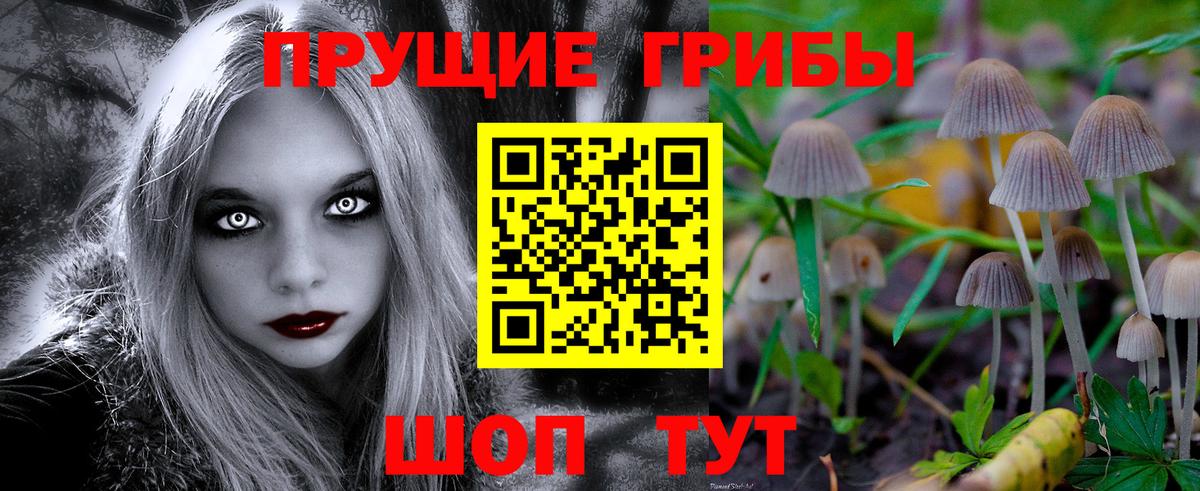 Прохладный  Псилоцибиновые грибы прущие грибы  Вход с VPN 